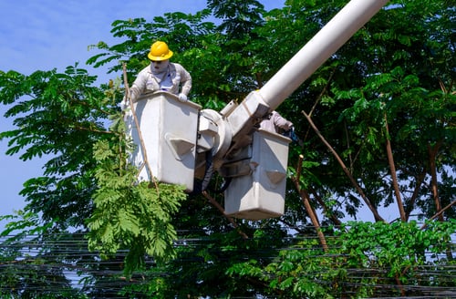 What the NERC Wildfire Report Means for Your SRP Documentation Strategy
