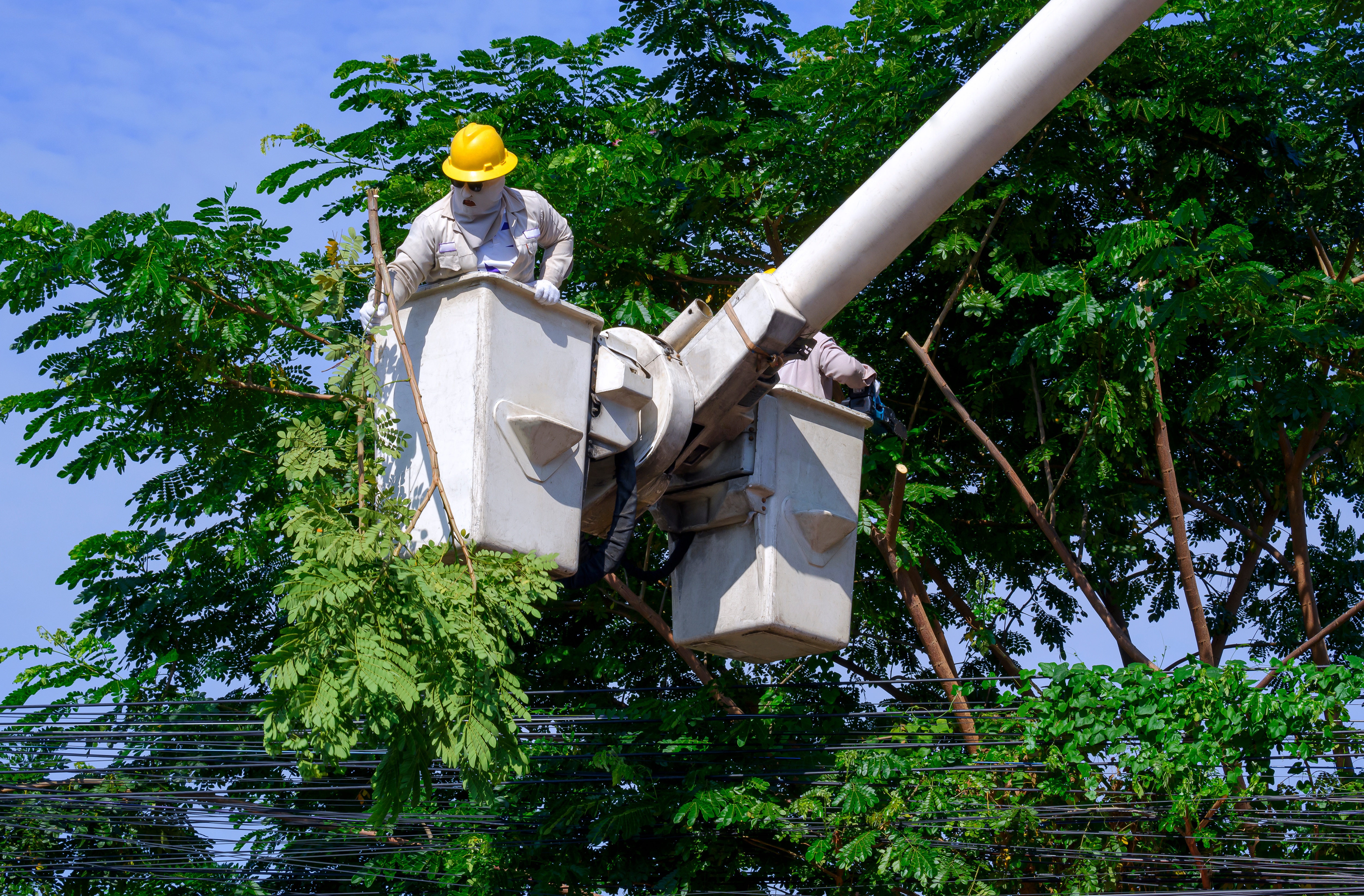 What the NERC Wildfire Report Means for Your SRP Documentation Strategy